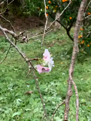 成身院　百体観音堂（さざえ堂）(埼玉県)