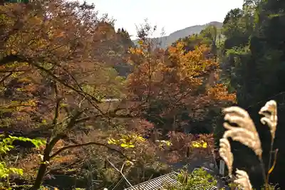 高龍神社(新潟県)