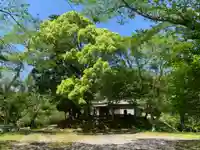 川田不動尊(千葉県)