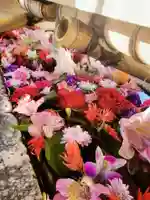 鳩森八幡神社の手水舎