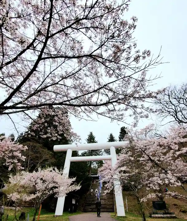 土津神社|こどもと出世の神さまの鳥居