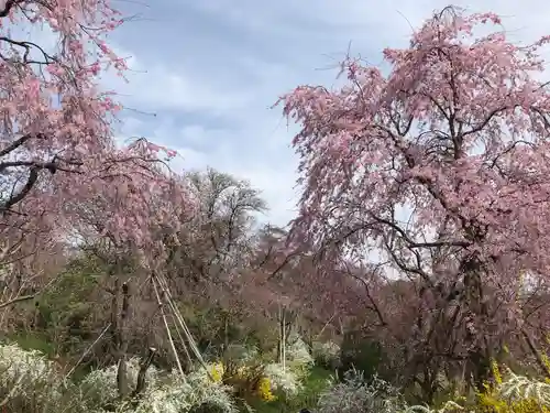 敷地神社（わら天神宮）(京都府)