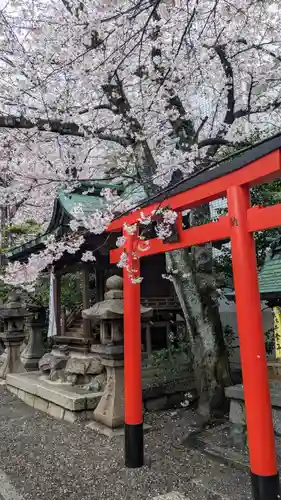 天孫神社(滋賀県)