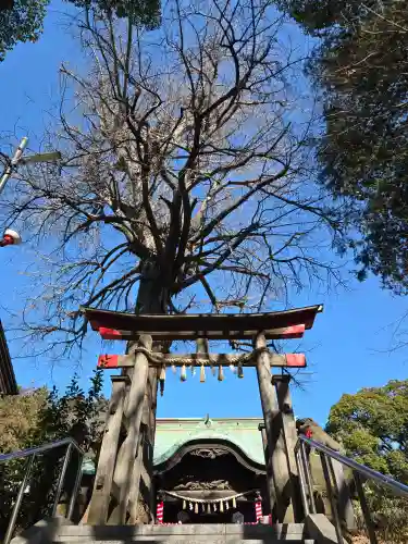 下総国三山　二宮神社(千葉県)