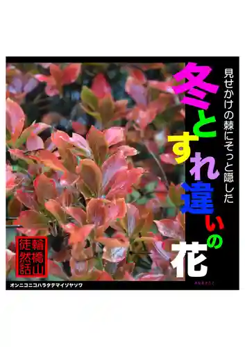 耕田院(山形県)