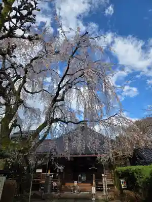 妙立寺(石川県)
