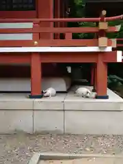 柏諏訪神社(千葉県)