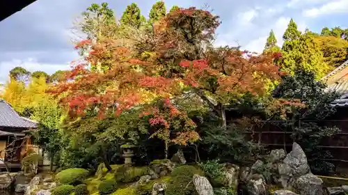 醍醐寺の庭園