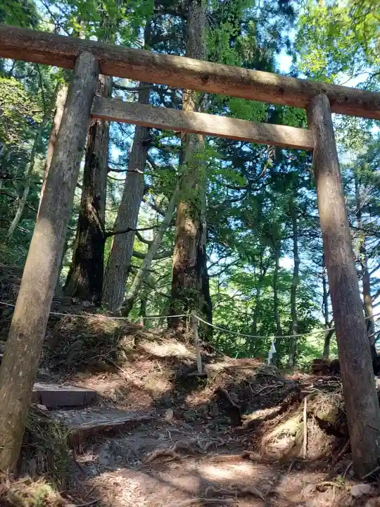 玉置神社の{uncategorized: "未分類", other: "その他", undefined: "問題あり", building: "その他建物", grave: "お墓", sacred_gate: "鳥居", guardian: "狛犬", statue: "像", buddha: "仏像", history: "歴史", nature: "自然", garden: "庭園", animal: "動物", pagoda: "塔", temizu: "手水舎", mountain_gate: "山門・神門", sanctuary: "本殿・本堂", subordinate: "末社・摂社", art: "芸術", scenery: "景色", jizo: "地蔵", ema: "絵馬", goshuin: "御朱印", omikuji: "おみくじ", items: "授与品その他", amulet: "お守り", goshuincho: "御朱印帳", eats: "食事", festival: "お祭り", votive_dance: "神楽", shichigosan: "七五三参", wedding: "結婚式", experience: "体験その他", initially: "初詣", around: "周辺", anti_infection: "感染症対策"}