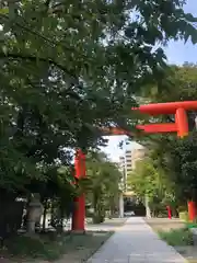 稲毛神社の鳥居