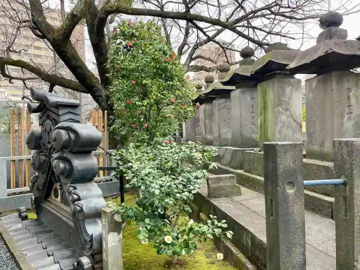 龍光寺(東京都)