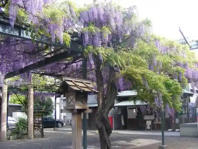 國領神社(東京都)