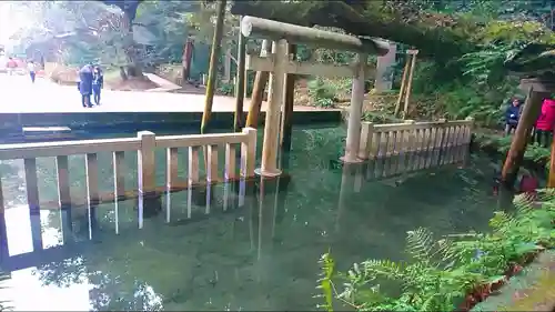 鹿島神宮の自然