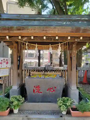 高円寺氷川神社の手水