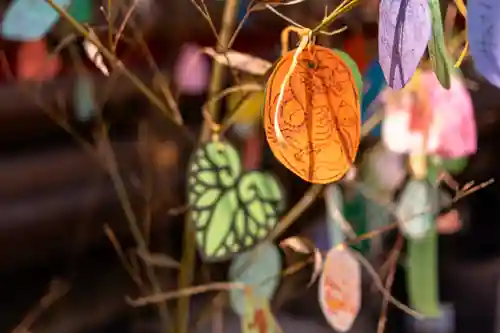 賀茂別雷神社（上賀茂神社）(京都府)