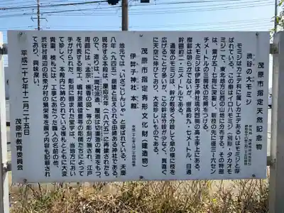 伊弉子神社の歴史