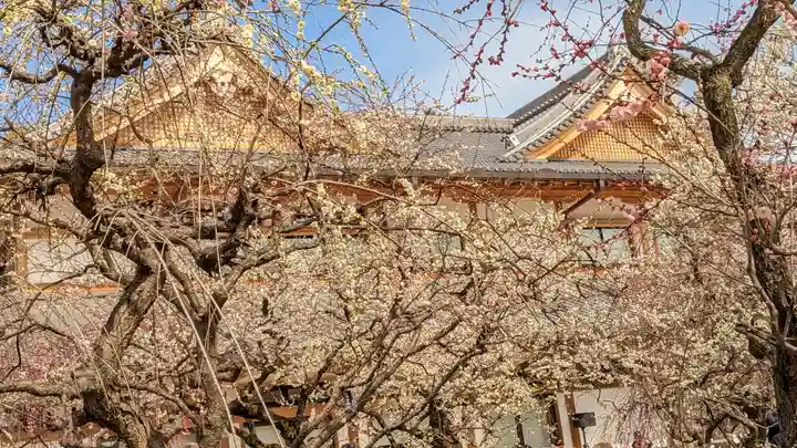 北野天満宮(京都府)