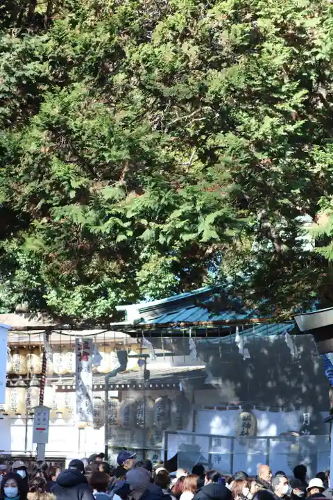 調神社(埼玉県)