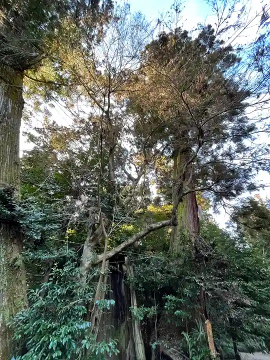 香取神宮の自然