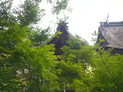 日本第一熊野神社の本殿・本堂