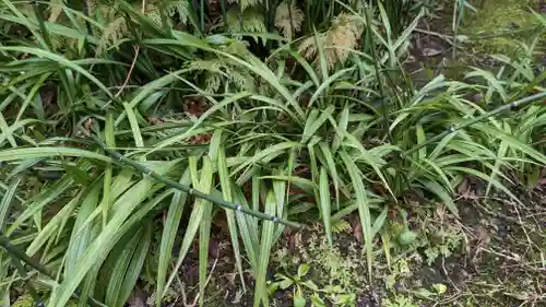 木食寺安祥院(京都府)