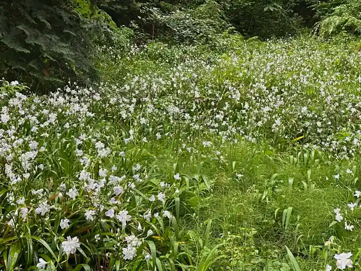 妙義神社の自然