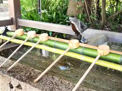 弓弦羽神社(兵庫県)