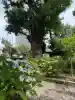 磐井神社(東京都)
