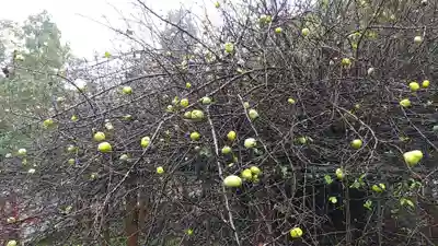 冠稲荷神社(群馬県)