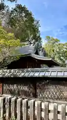 今宮神社(京都府)