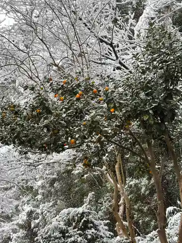 二兒神社(福岡県)