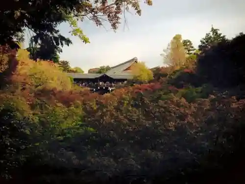 東福禅寺（東福寺）の庭園