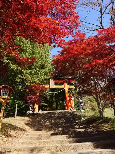 新倉富士浅間神社の鳥居