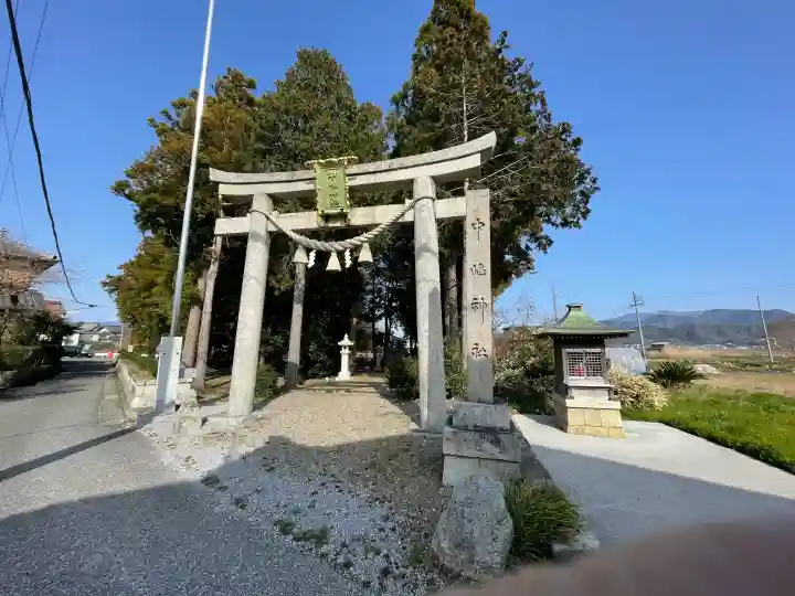 中嶋神社の{uncategorized: "未分類", other: "その他", undefined: "問題あり", building: "その他建物", grave: "お墓", sacred_gate: "鳥居", guardian: "狛犬", statue: "像", buddha: "仏像", history: "歴史", nature: "自然", garden: "庭園", animal: "動物", pagoda: "塔", temizu: "手水舎", mountain_gate: "山門・神門", sanctuary: "本殿・本堂", subordinate: "末社・摂社", art: "芸術", scenery: "景色", jizo: "地蔵", ema: "絵馬", goshuin: "御朱印", omikuji: "おみくじ", items: "授与品その他", amulet: "お守り", goshuincho: "御朱印帳", eats: "食事", festival: "お祭り", votive_dance: "神楽", shichigosan: "七五三参", wedding: "結婚式", experience: "体験その他", initially: "初詣", around: "周辺", anti_infection: "感染症対策"}