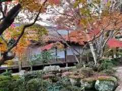 百済寺の庭園