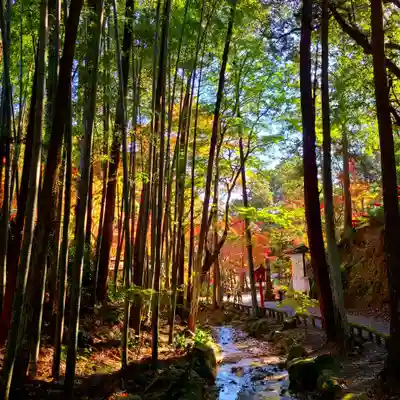 目の霊山 油山寺(静岡県)
