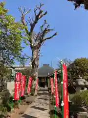 長王寺の建物その他