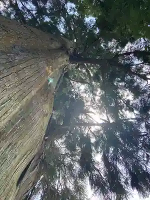 白鬚神社(岐阜県)