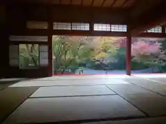 圓光寺の本殿