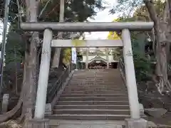 中野氷川神社の鳥居