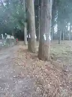 人丸神社(山形町)の自然