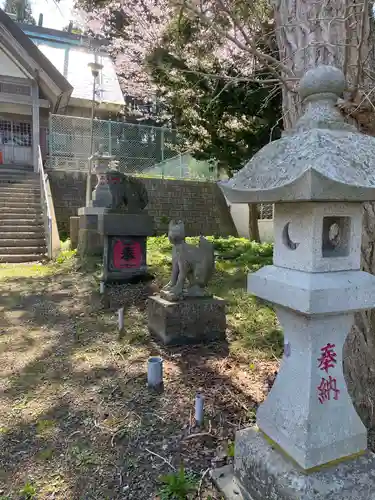 川汲稲荷神社の狛犬