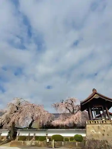 長松院(福島県)
