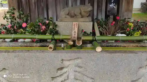 北野天満宮の手水舎