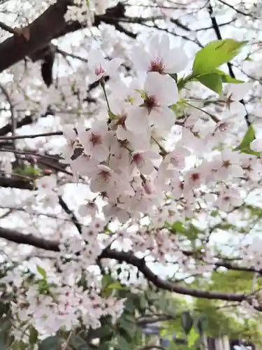 成田山神護寺(埼玉県)