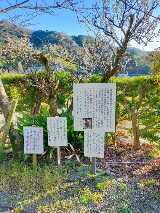 宇賀部神社(和歌山県)