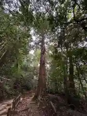 八重垣神社(島根県)