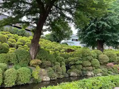 根津神社の{uncategorized: "未分類", other: "その他", undefined: "問題あり", building: "その他建物", grave: "お墓", sacred_gate: "鳥居", guardian: "狛犬", statue: "像", buddha: "仏像", history: "歴史", nature: "自然", garden: "庭園", animal: "動物", pagoda: "塔", temizu: "手水舎", mountain_gate: "山門・神門", sanctuary: "本殿・本堂", subordinate: "末社・摂社", art: "芸術", scenery: "景色", jizo: "地蔵", ema: "絵馬", goshuin: "御朱印", omikuji: "おみくじ", items: "授与品その他", amulet: "お守り", goshuincho: "御朱印帳", eats: "食事", festival: "お祭り", votive_dance: "神楽", shichigosan: "七五三参", wedding: "結婚式", experience: "体験その他", initially: "初詣", around: "周辺", anti_infection: "感染症対策"}