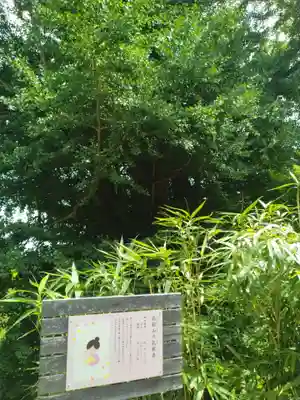 熊野那智神社(宮城県)