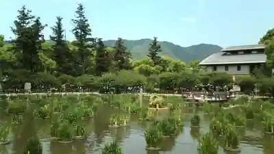 太宰府天満宮(福岡県)